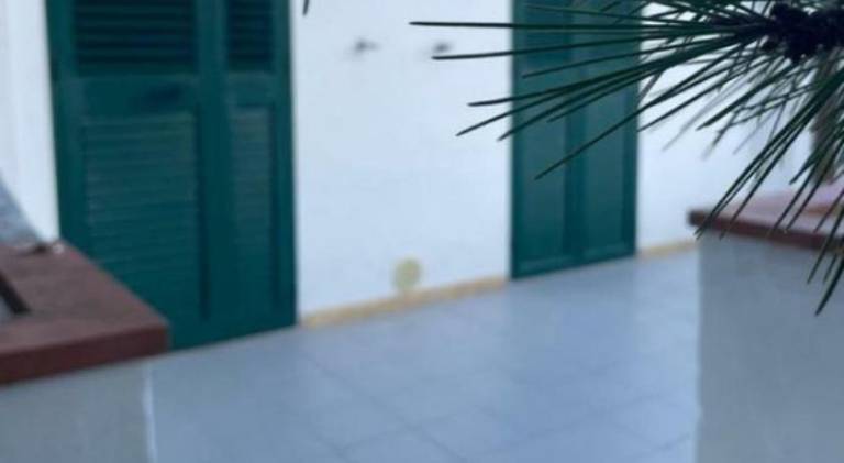 Rental apartment with patio & yard — photo 3
