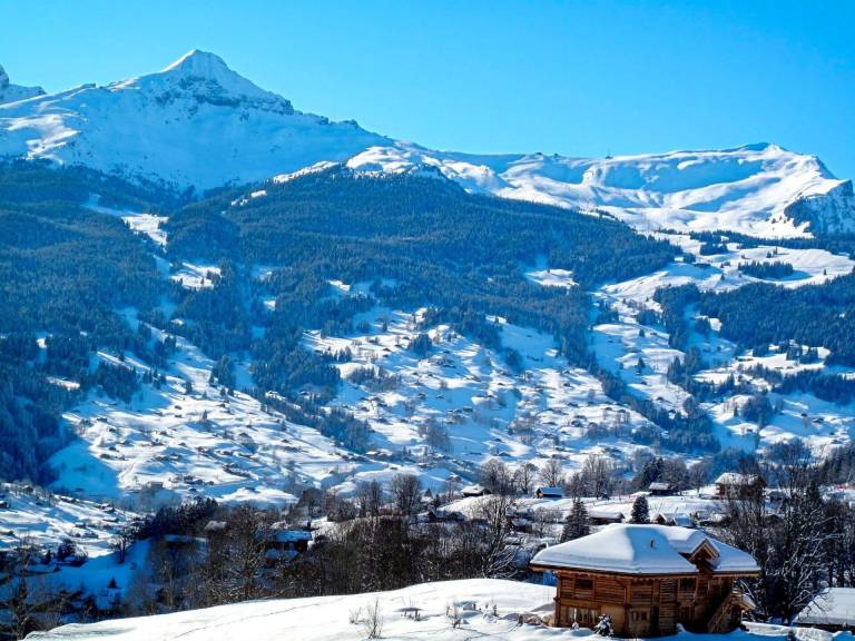 Ferienwohnung Grindelwald