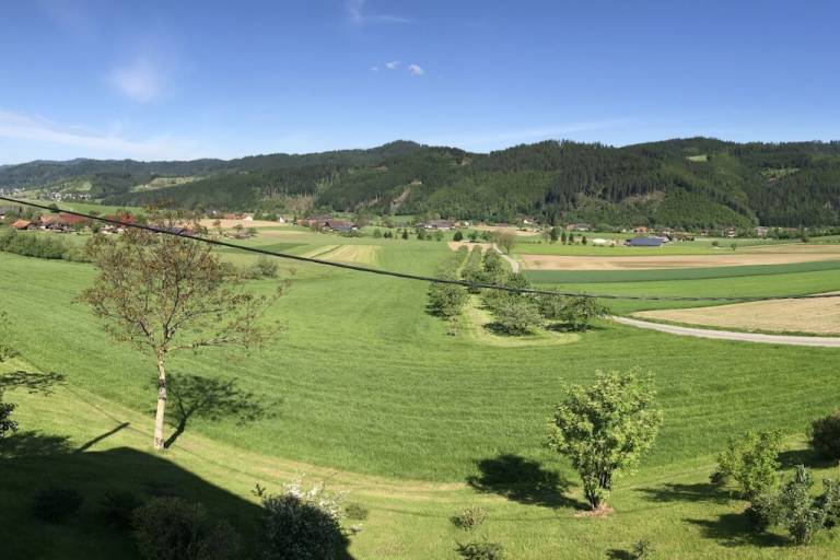 foto4