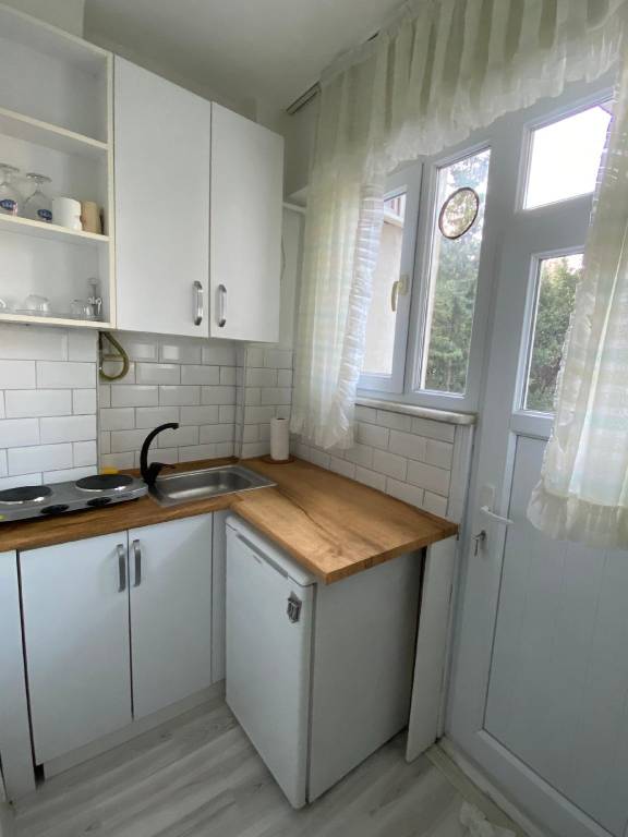 Nice rental apartment | Near Galata Tower | Good for workation | Pet-friendly — photo 3
