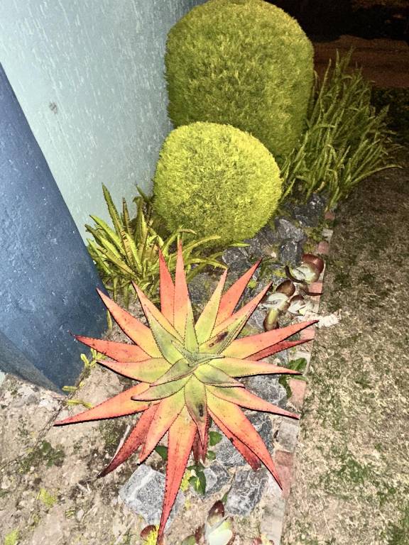 foto37