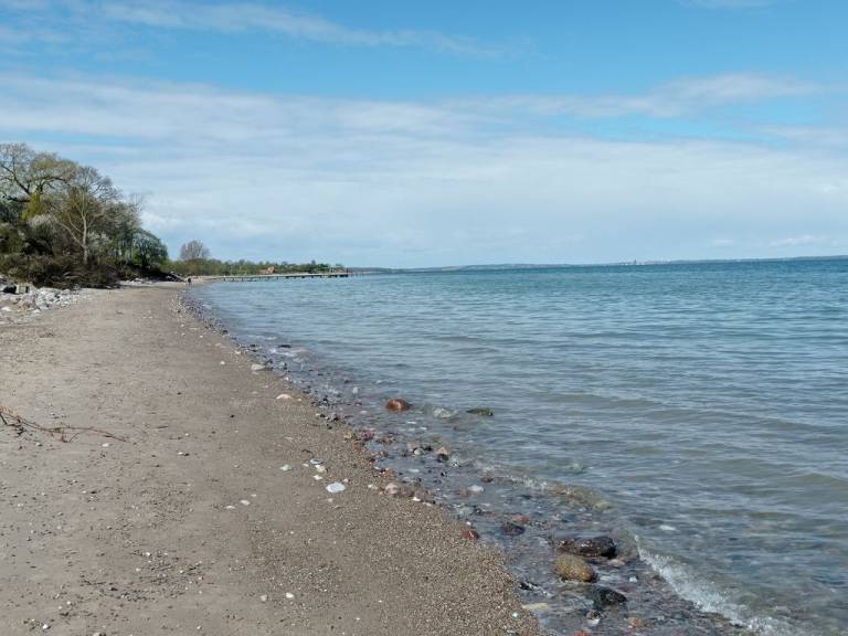 foto17