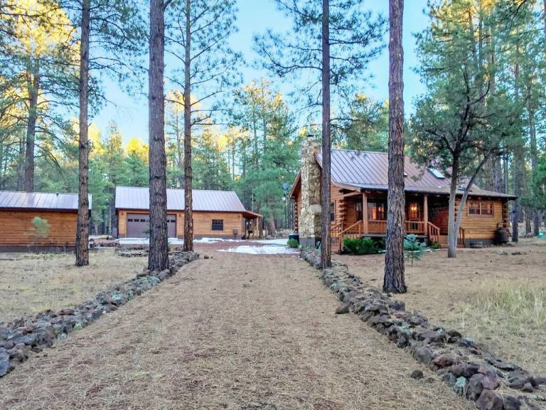 Cabin  Williams