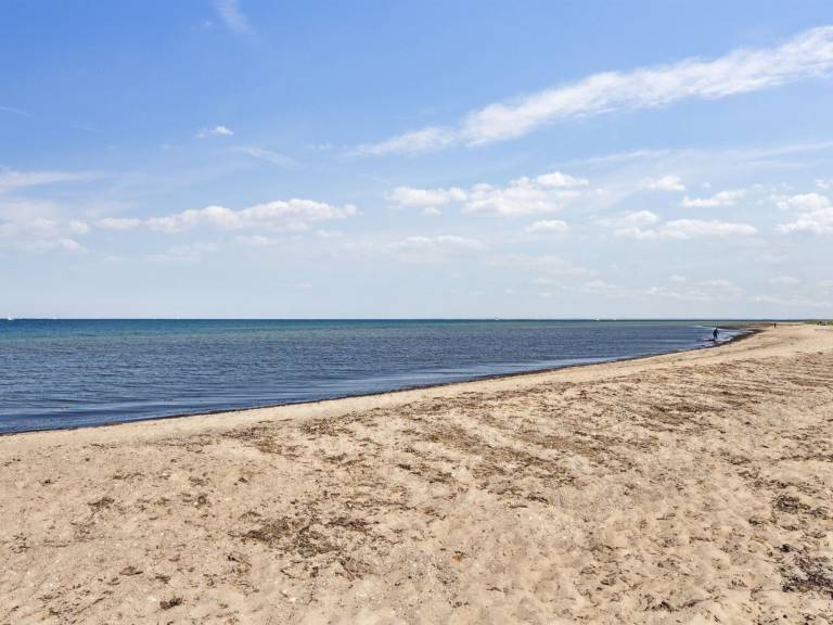 Family-friendly vacation home with sauna, barbecue & patio | Sea view | Next to the beach | Dogs allowed — photo 4