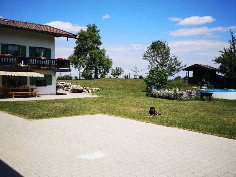 foto19