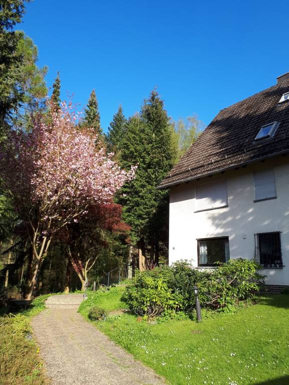Ferienhaus Wolfshagen im Harz