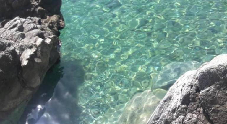 Beautiful rental apartment | Beach nearby | Pets are welcome in Catanzaro