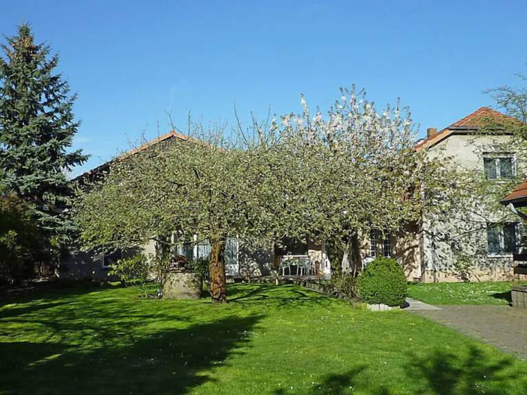 Ferienhaus  Bad Muskau
