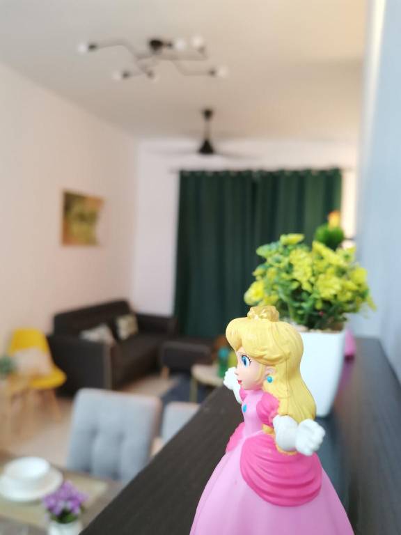 foto30