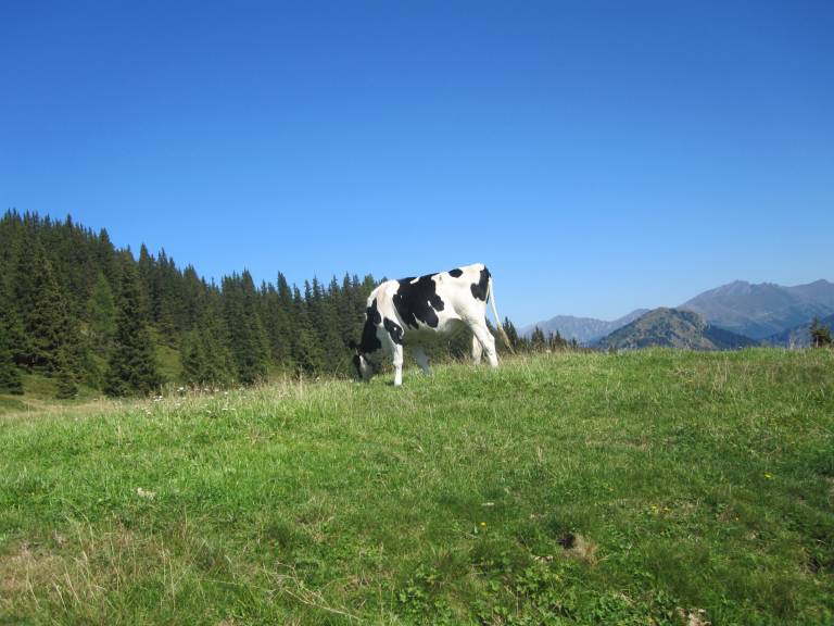 foto18