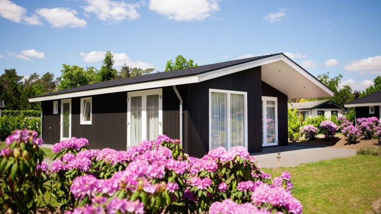 Ferienhaus Eindhoven