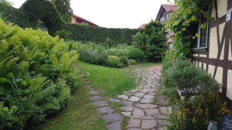 foto11