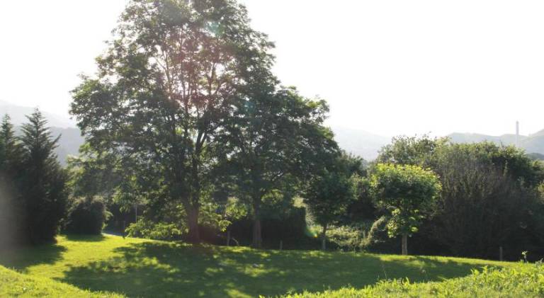 foto18