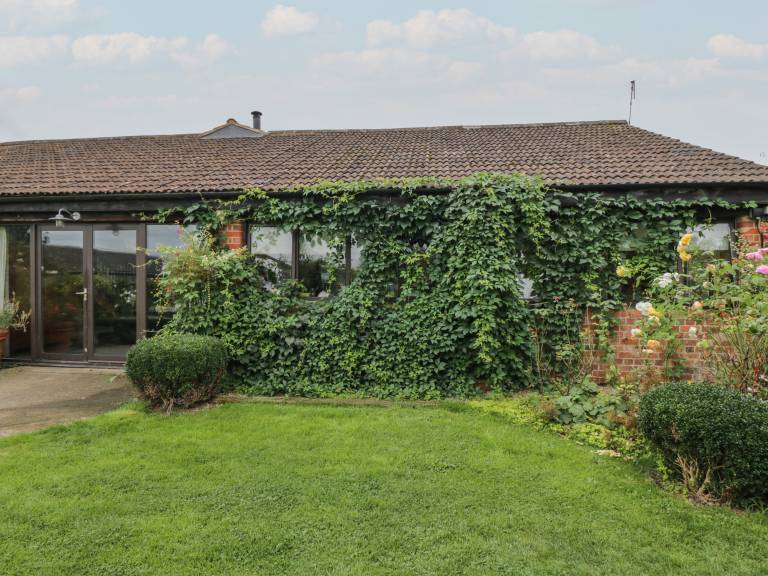 foto41