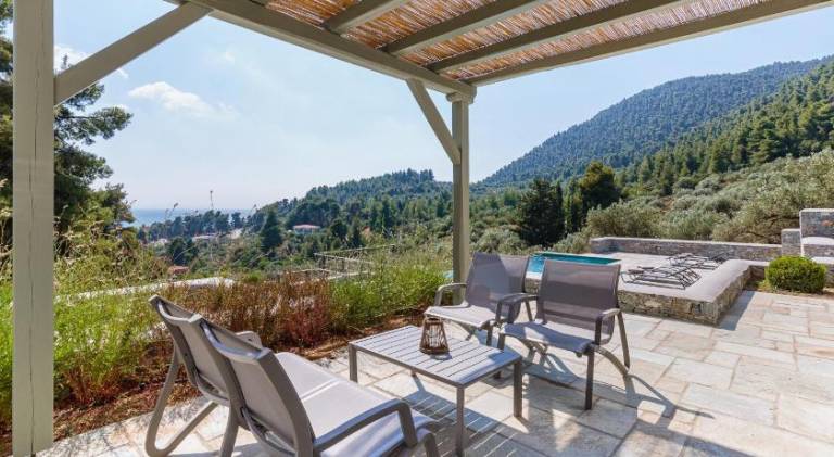 Nice villa with pool | Next to the beach | Pets are welcome — photo 4