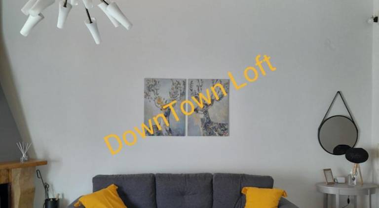 Charming apartment | Pets are welcome in Aigialeia