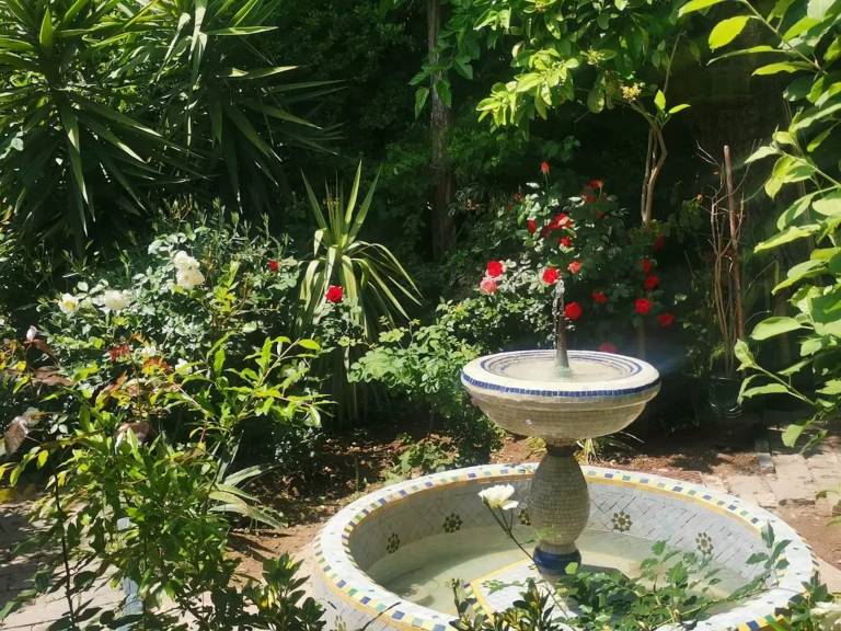 foto17