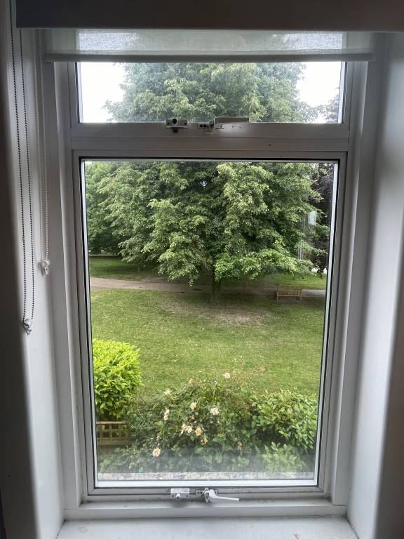 foto21
