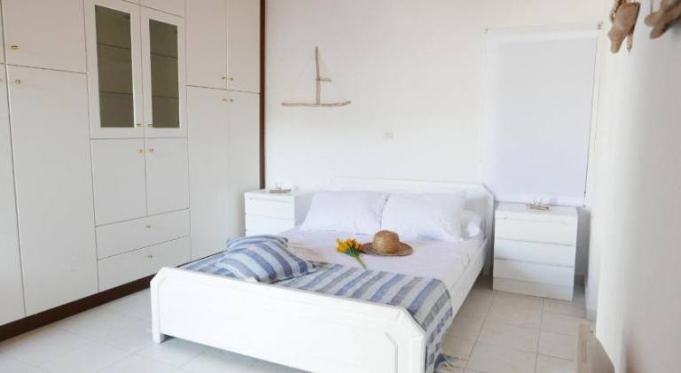 House | Dogs allowed in Naxos