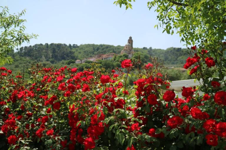 foto15