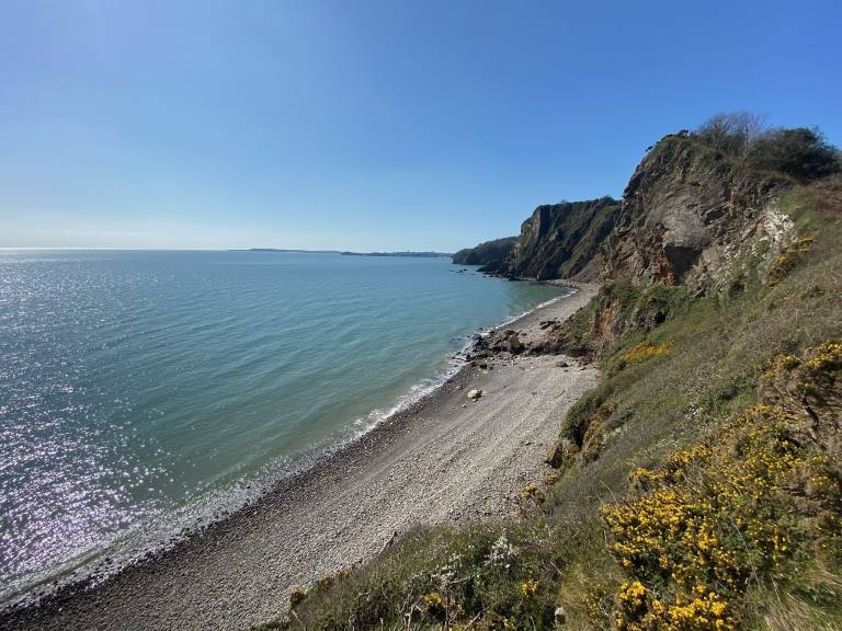 House Tenby