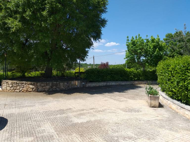 foto5