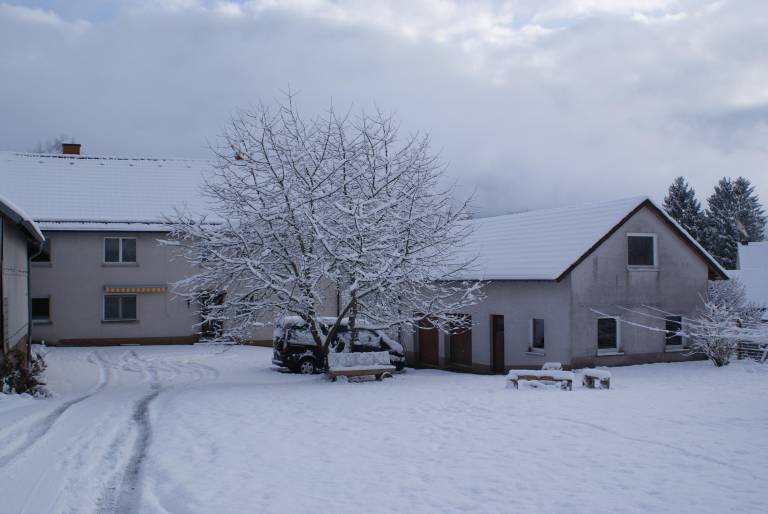 foto2