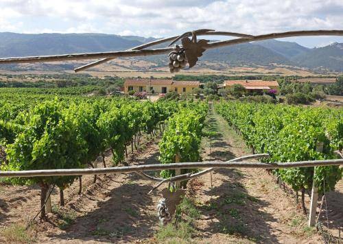 Agriturismo  Santa Teresa di Gallura
