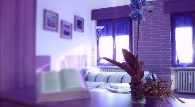Nice rental apartment with terrace & yard | Pet-friendly in Verona