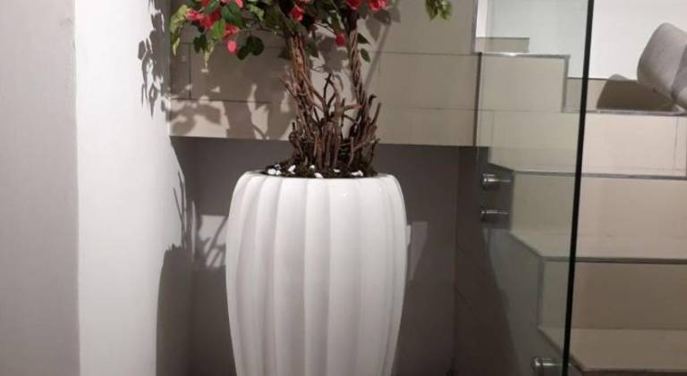 foto45