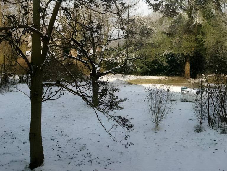foto41