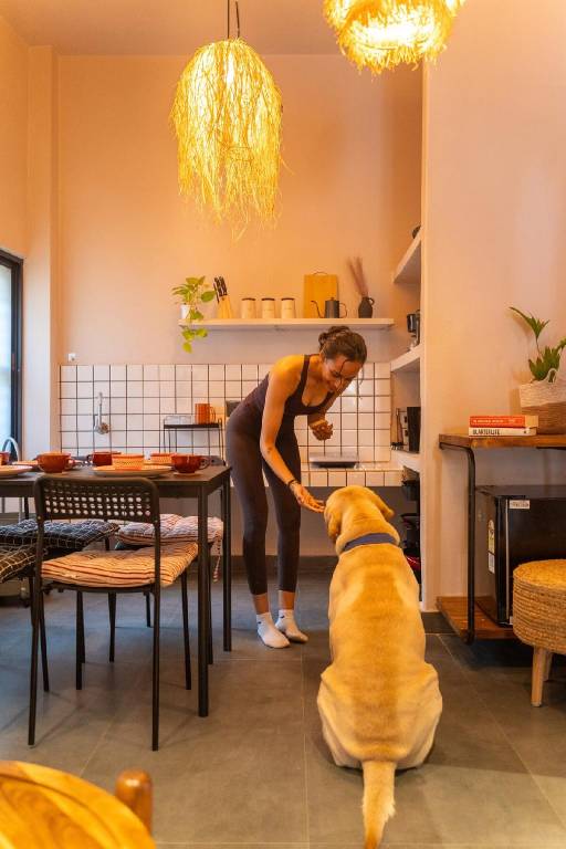 Fully equipped lovely rental apartment with garden | Good for workation | Pets are welcome — photo 5