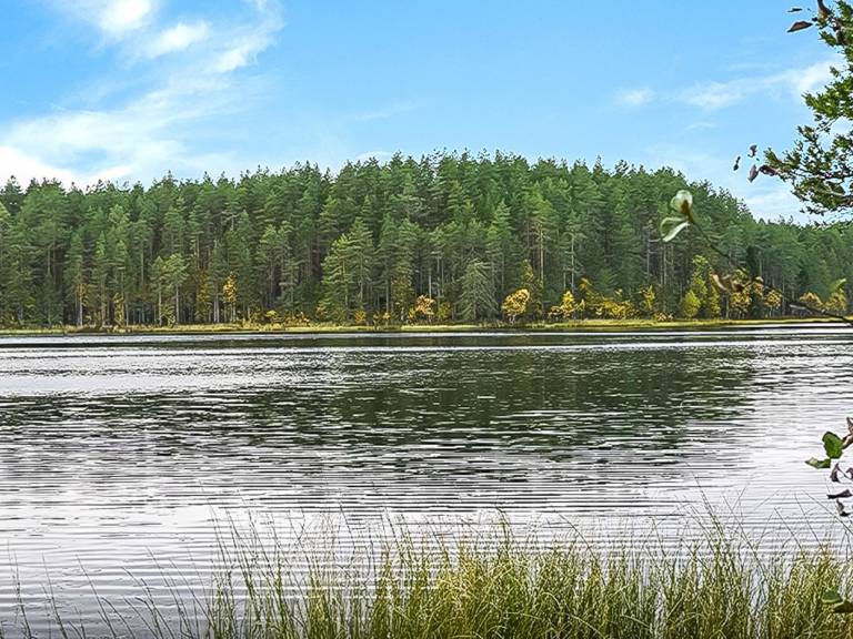 Vacation home with sauna | Nature view — photo 3