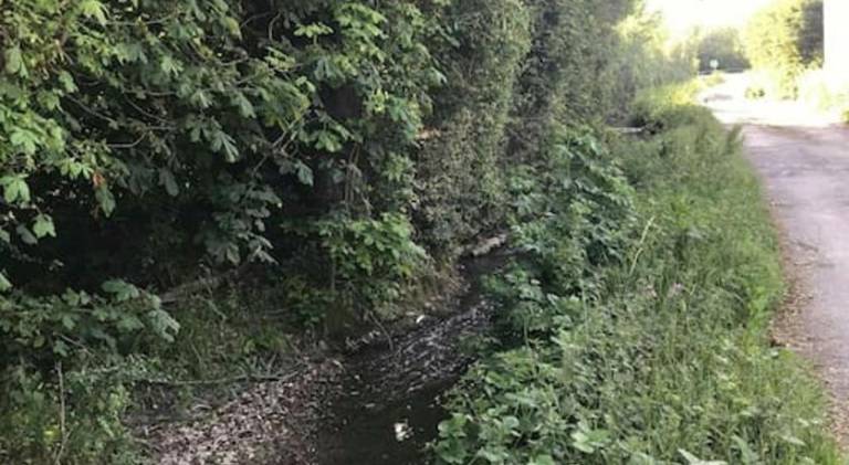 foto14