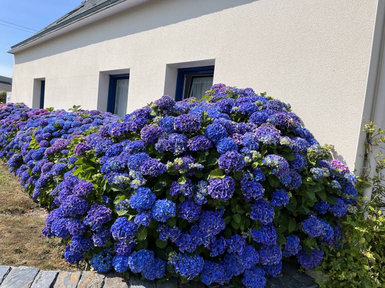 Maison de vacances Landéda