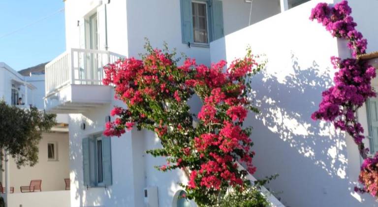 ARK Tinos in Tinos