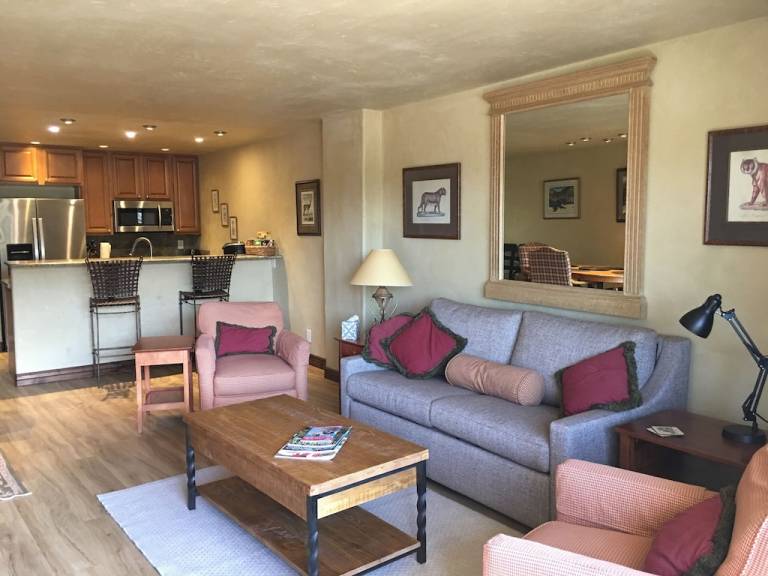 Condo Beaver Creek