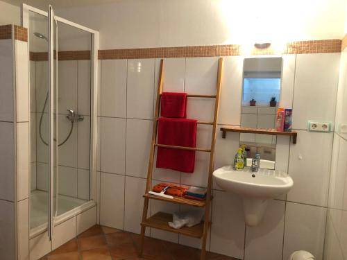 foto19