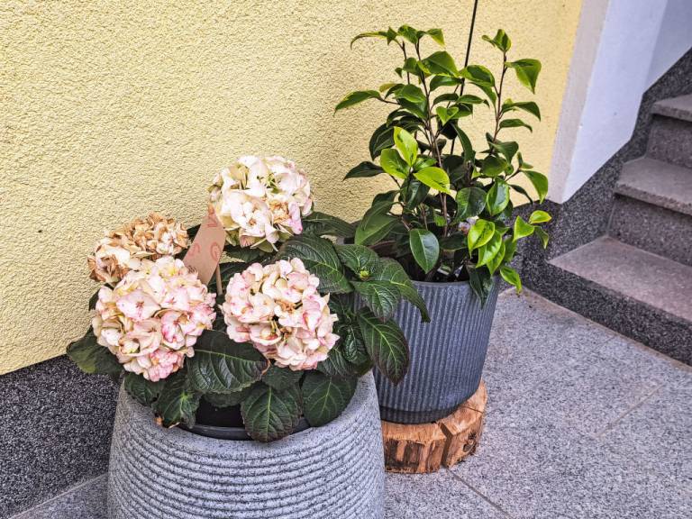 foto28