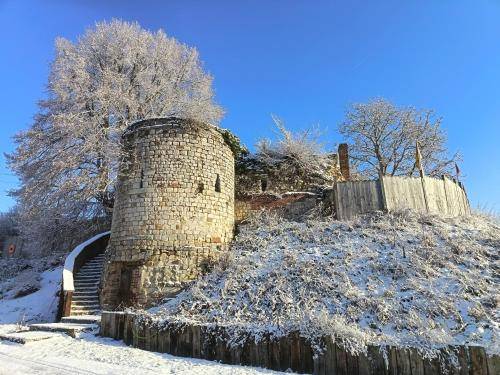 La tour de la reine blanche — photo 5