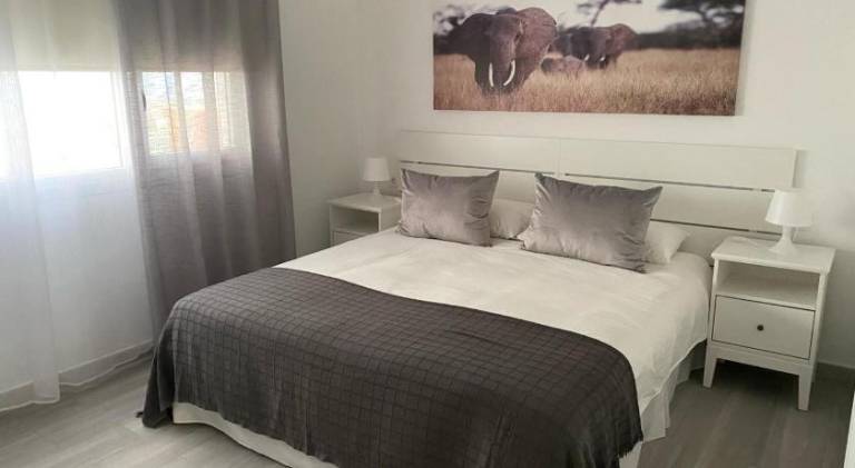 Apartamento Ingenio