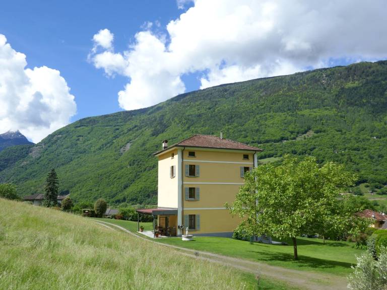 foto41