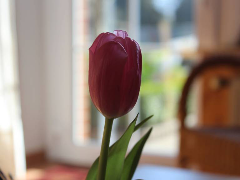 foto14