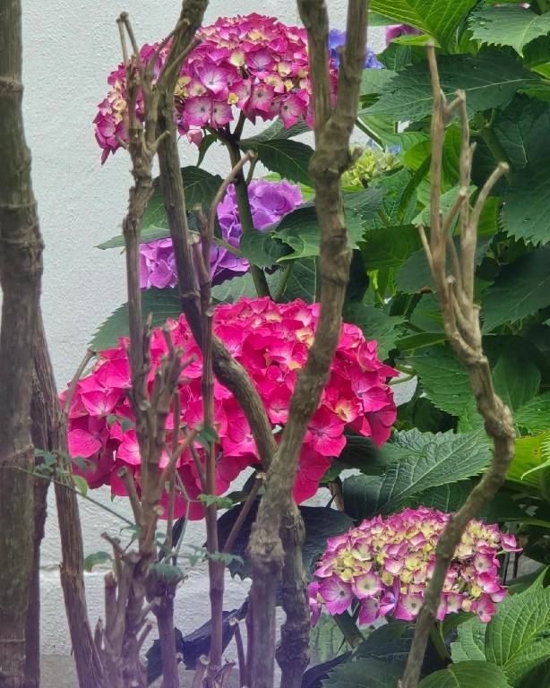 foto27