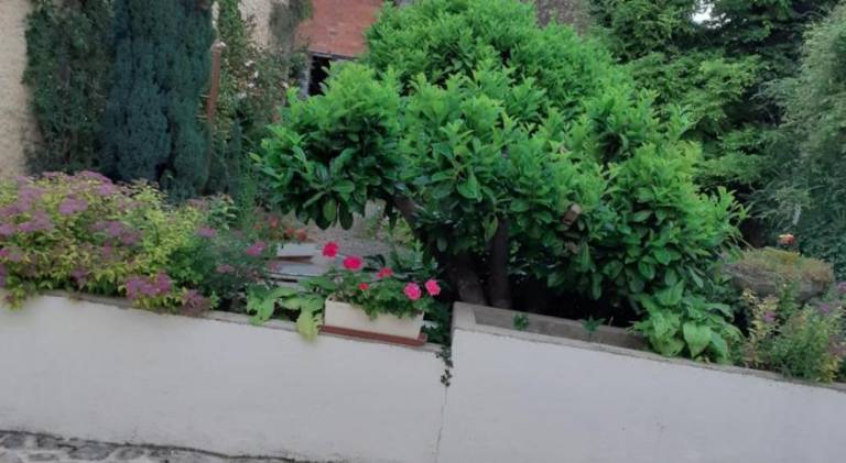 foto23