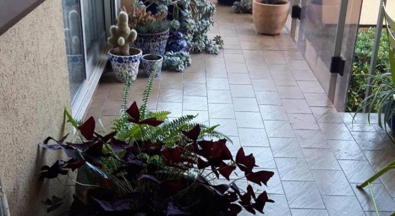 Chez Roland — photo 5