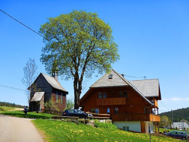 Ferienwohnung in Eisenbach (Hochschwarzwald) f&uuml;r max. 4 Personen