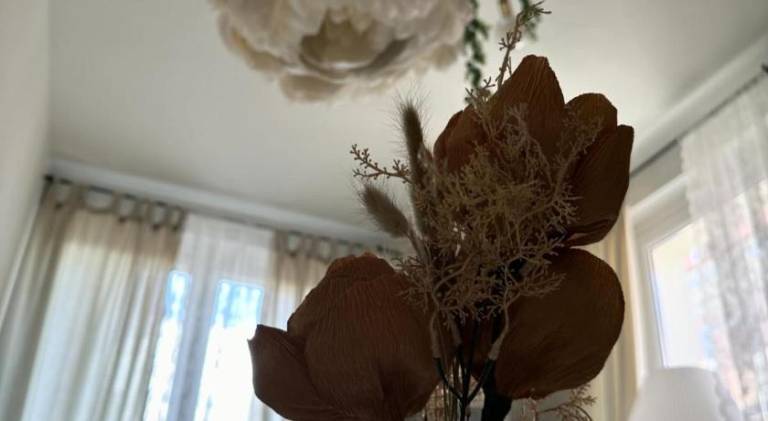 foto29