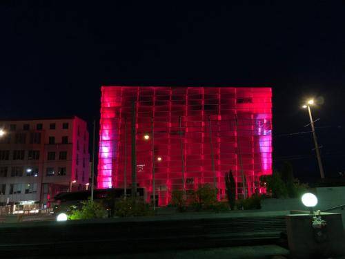 foto12