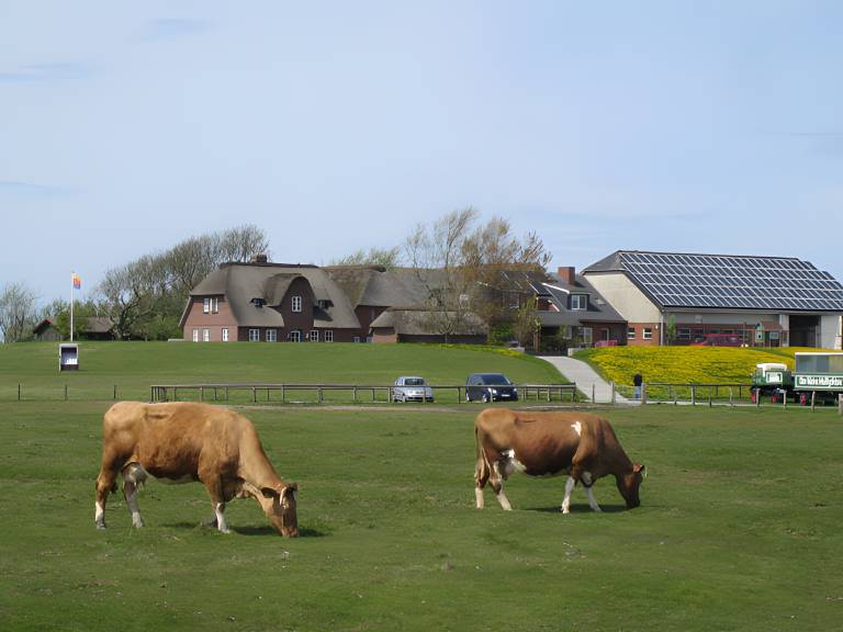 Ferienwohnung Langeneß